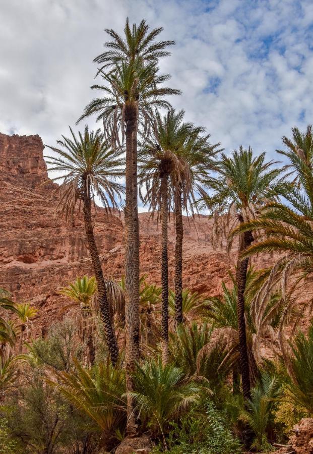 Auberge Kasbah Chez Amaliya Tafraout Exteriér fotografie