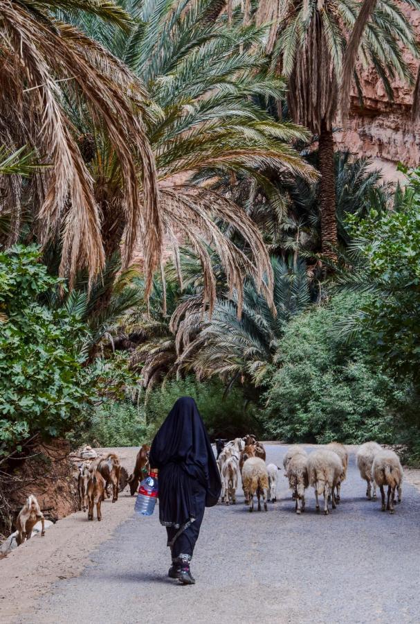 Auberge Kasbah Chez Amaliya Tafraout Exteriér fotografie